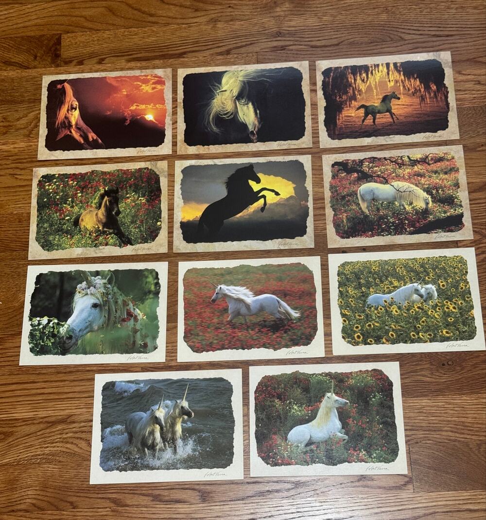 11 Greeting Cards Horses Unicorns Robert Vavra No Envelopes